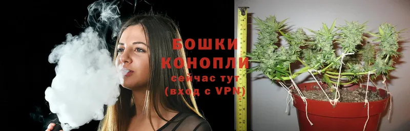 Бошки марихуана Amnesia  купить  цена  KRAKEN зеркало  Туринск 